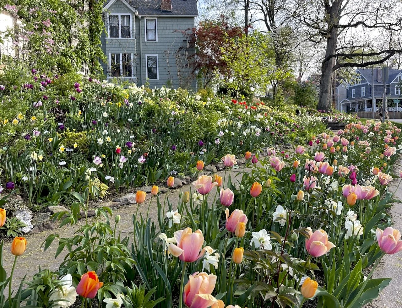 MarcellaHawley_SlopeofPossibility_Tulips.jpg