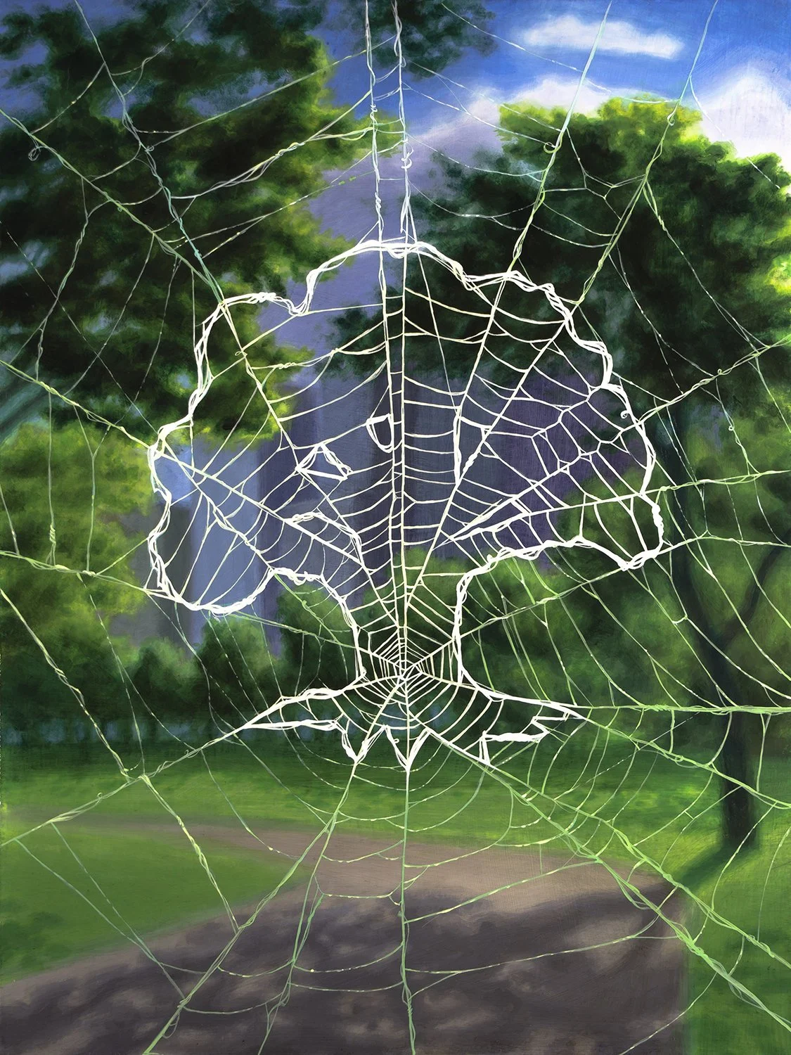 Spiderman forest finnigan.jpg