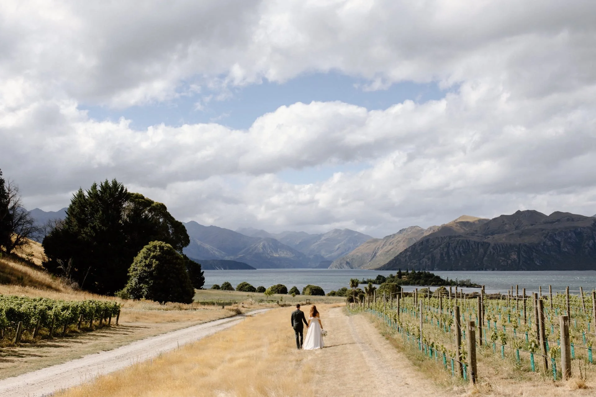 A bride and groom hold hands and walk through the vines at rippon vineyard on their wedding day