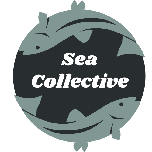 Sea Collective | Ocean Conservation and Sustainable Fisheries