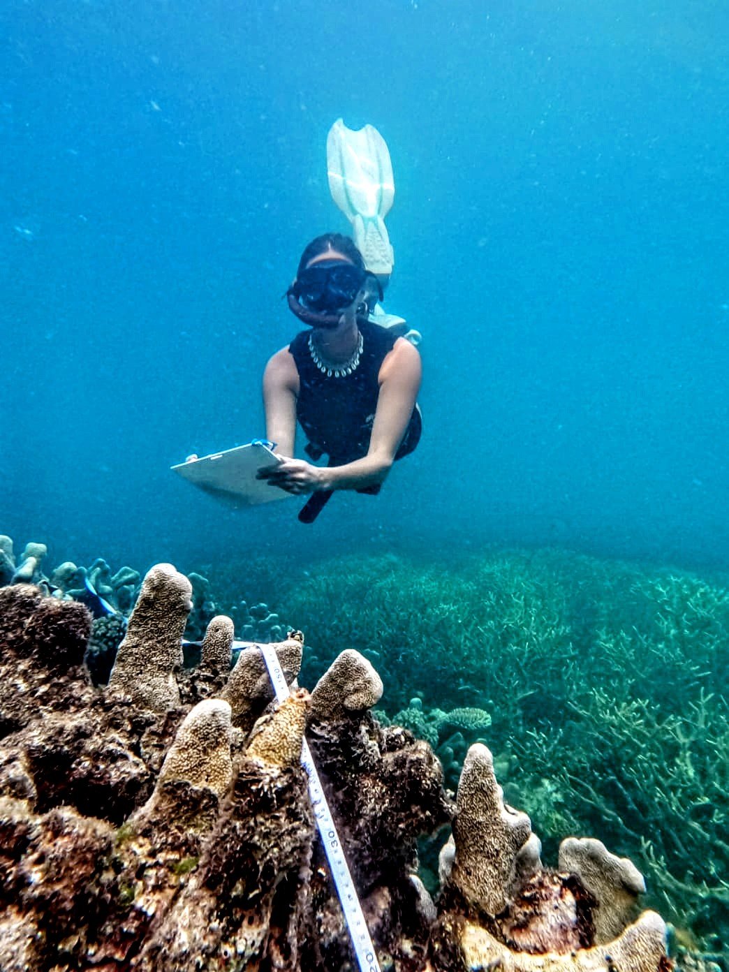 Taylor Bratton marine scientist underwater survey