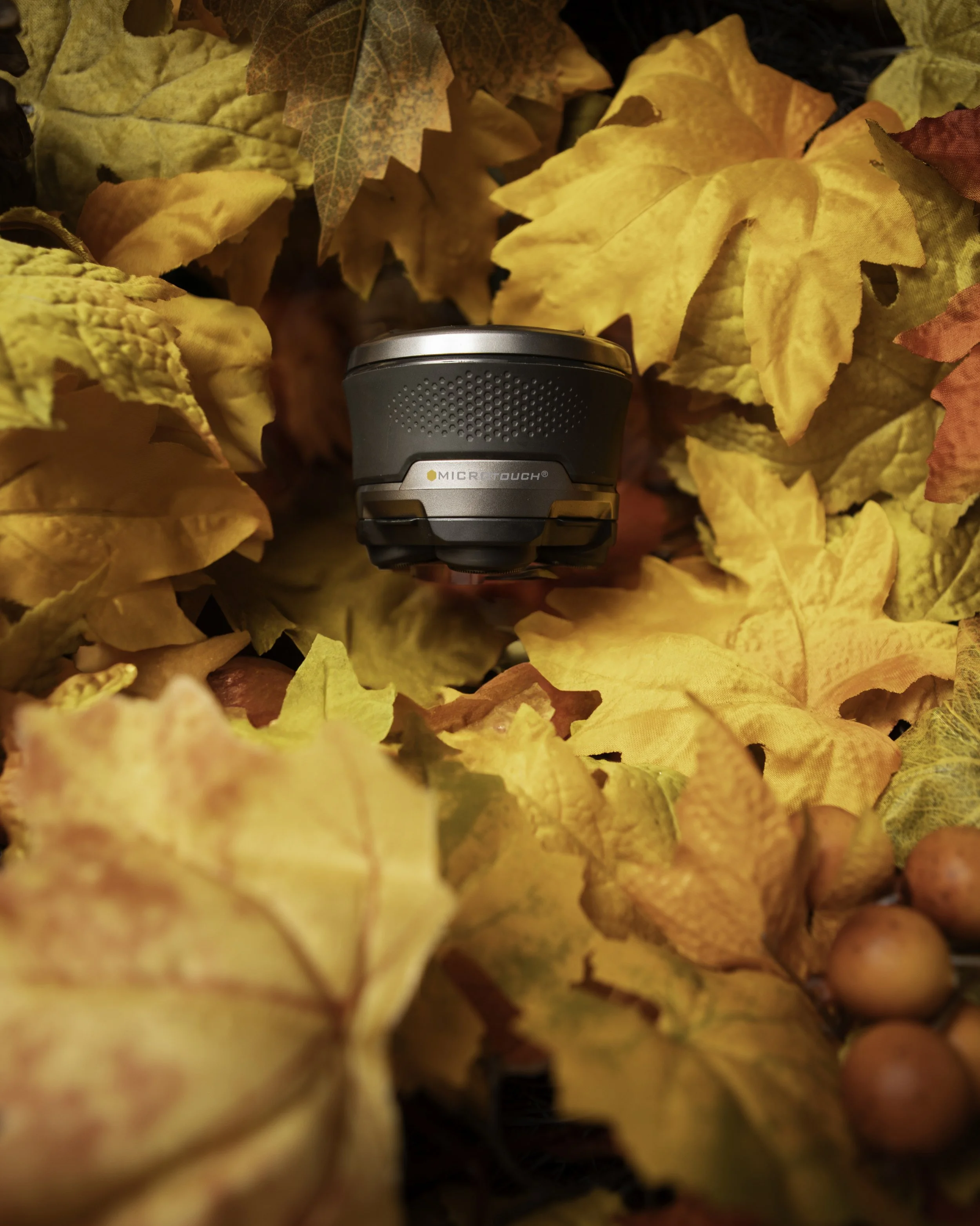 A portable speaker surrounded by autumn leaves and small berries.