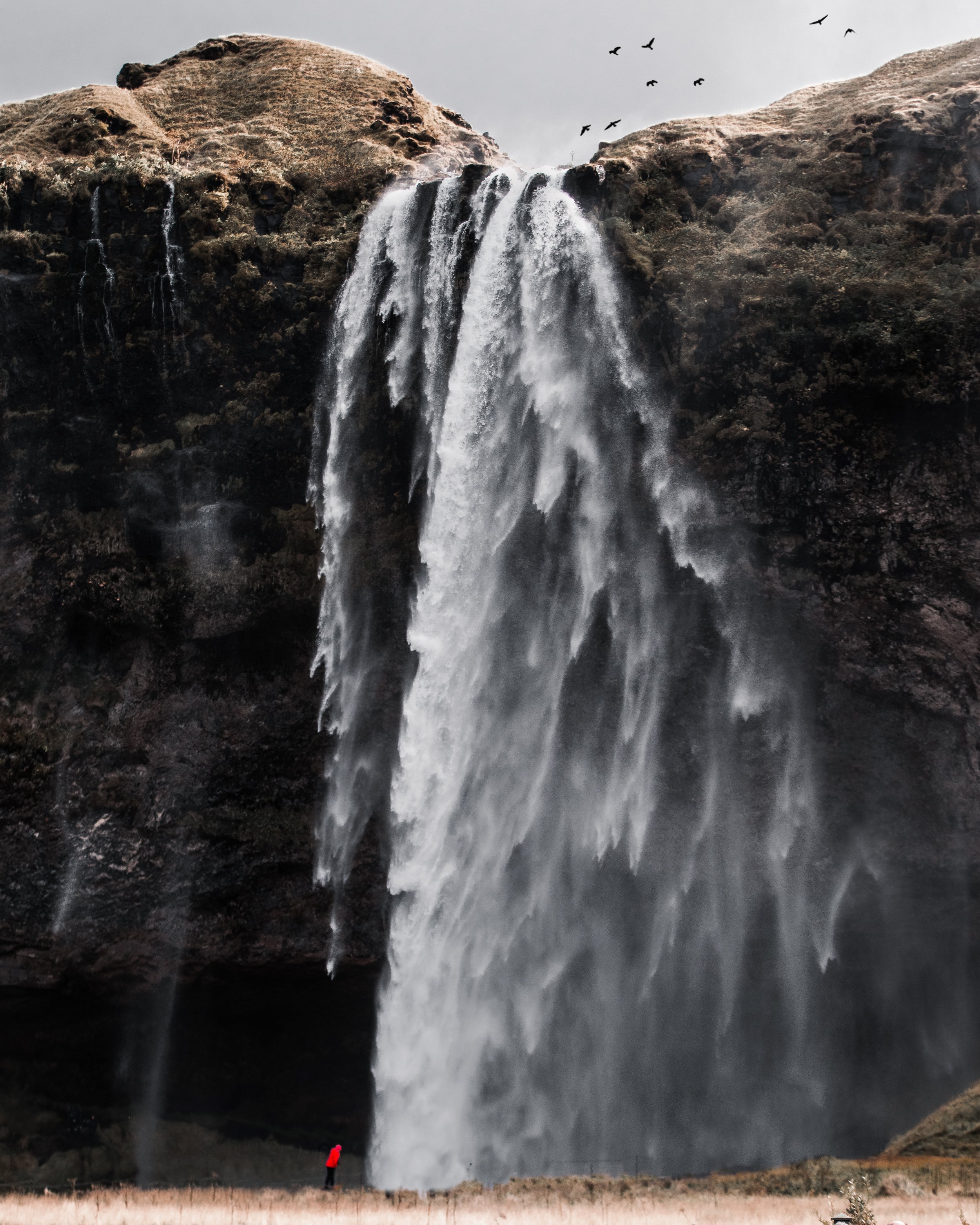 _MG_0944-3 copy.jpeg