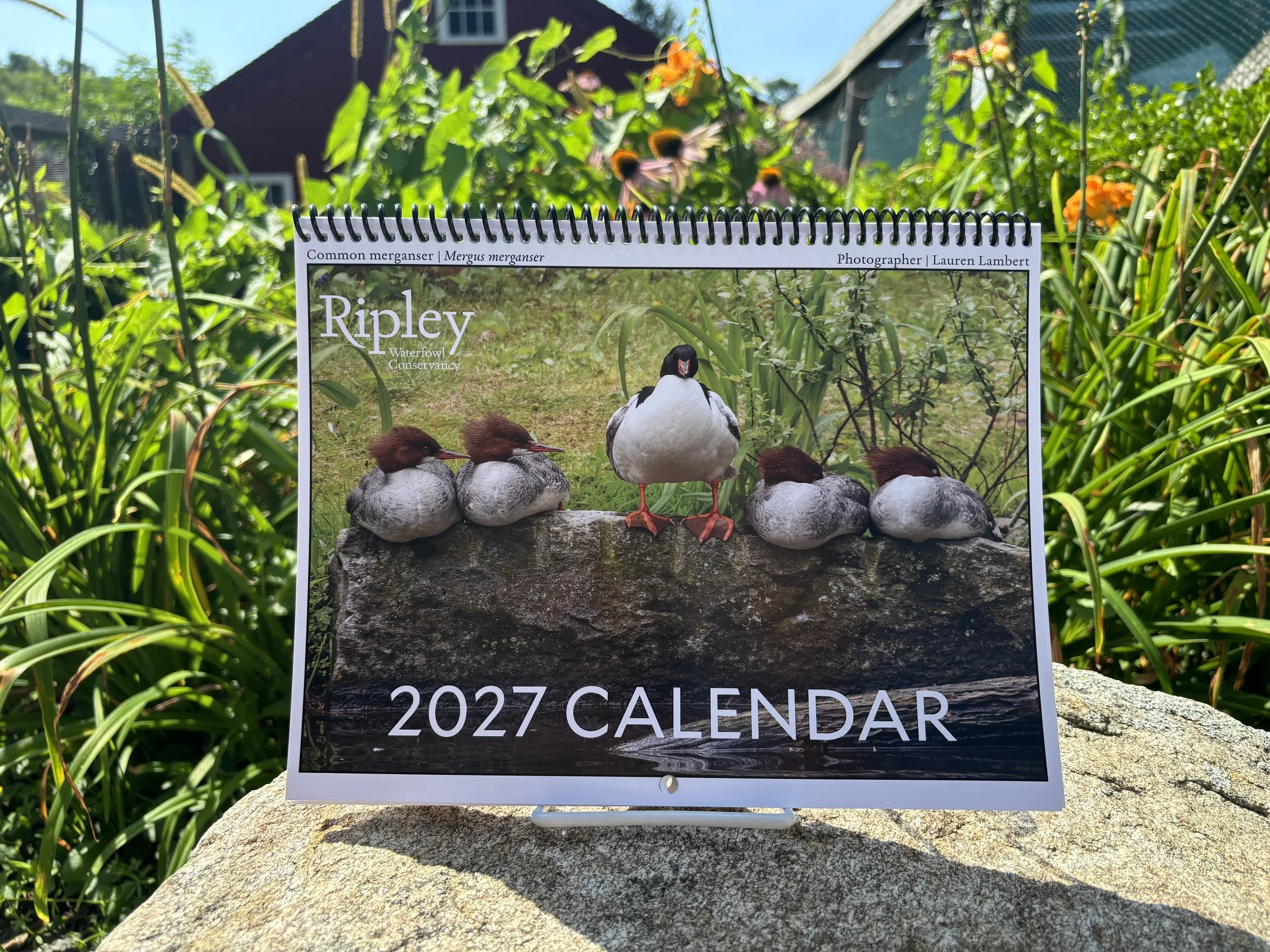 Calendar Front (website).JPG
