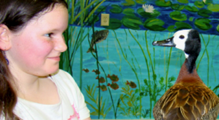Public Visits — Ripley Waterfowl Conservancy