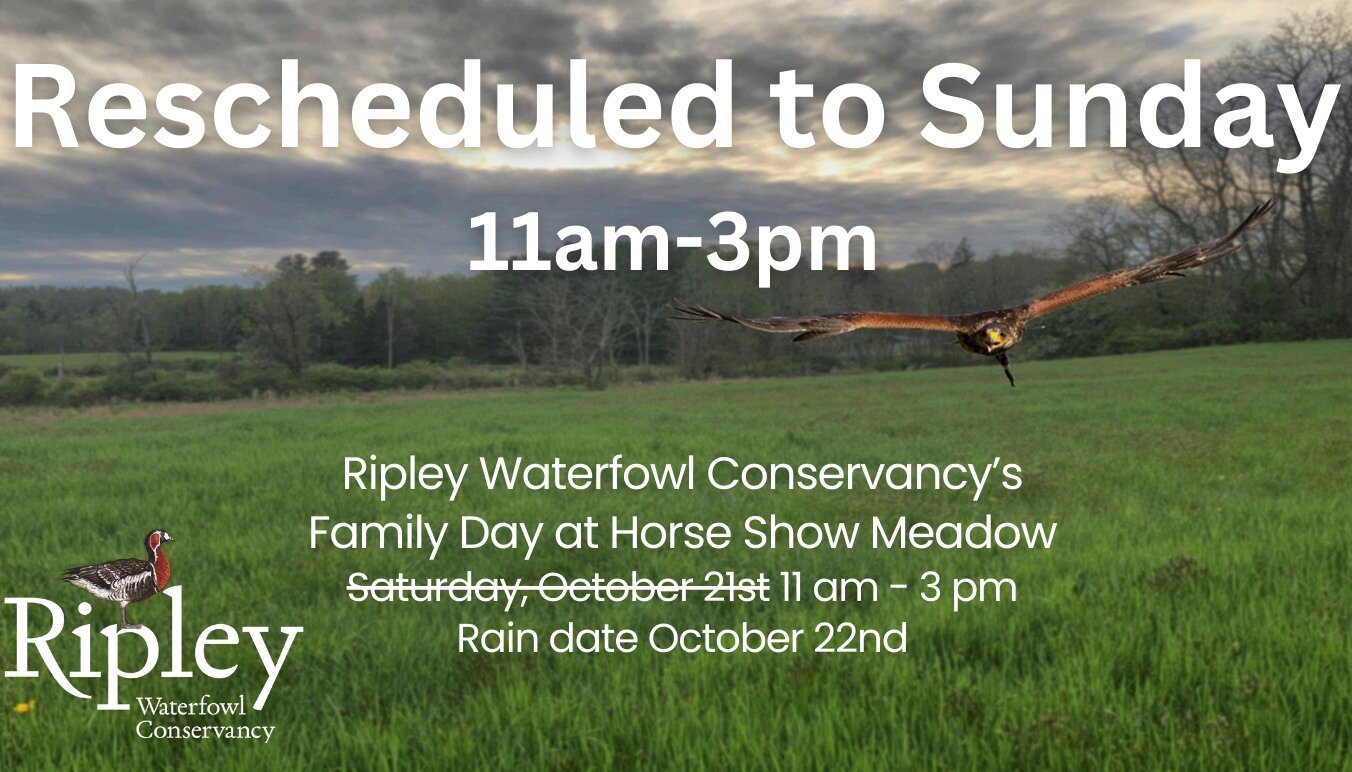 🌞 Exciting News: Ripley Family Day Rescheduled to Sunday! 🌞

Due to the forecast for Saturday, we're postponing Ripley Family Day to Sunday, October 22nd, from 11 am to 3 pm! The good news? All your favorite activities are still on! 🦅🐝🎶🎁🍔🥤

J