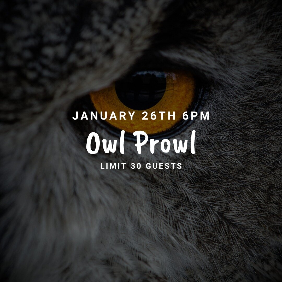 🦉 Join us for a magical evening under the starlit sky with our Director of Aviculture, Logan Connor, and Aviculturist, Bre Ellis! 🌙❄️ As the nights grow longer and the chill sets in, let's gather for an unforgettable experience:

Meet Our Avian Owl