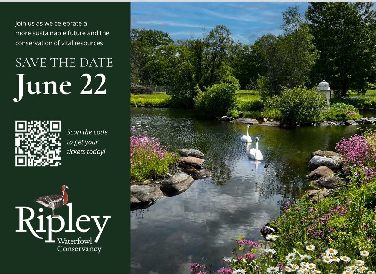 📢 Save the Date! 📅 Join us on June 22, 2024, from 6:00-10:00 pm at Ripley Waterfowl Conservancy&rsquo;s Annual Benefit. 🌿 

We&rsquo;re thrilled to honor Edwin Matthews for his exceptional environmental stewardship, both locally and internationall