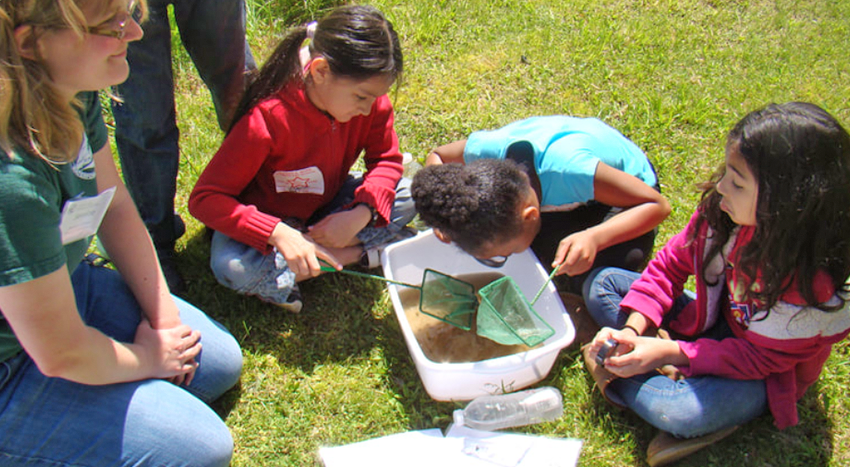 DUCKLING CAMP Week 4 – Nature Unleashed (July 27-July 31)