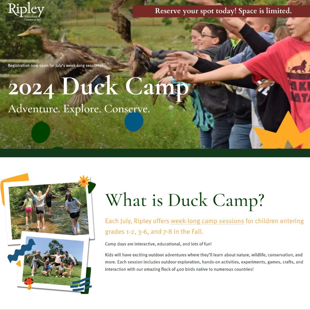 🚨 Attention Parents! 🚨 Don't let your child miss out on the ultimate summer experience at Duck Camp 2024! 🌟 

Spaces are filling up fast, and we don't want anyone to miss out on the fun and learning. Secure your child's spot today before it's too 