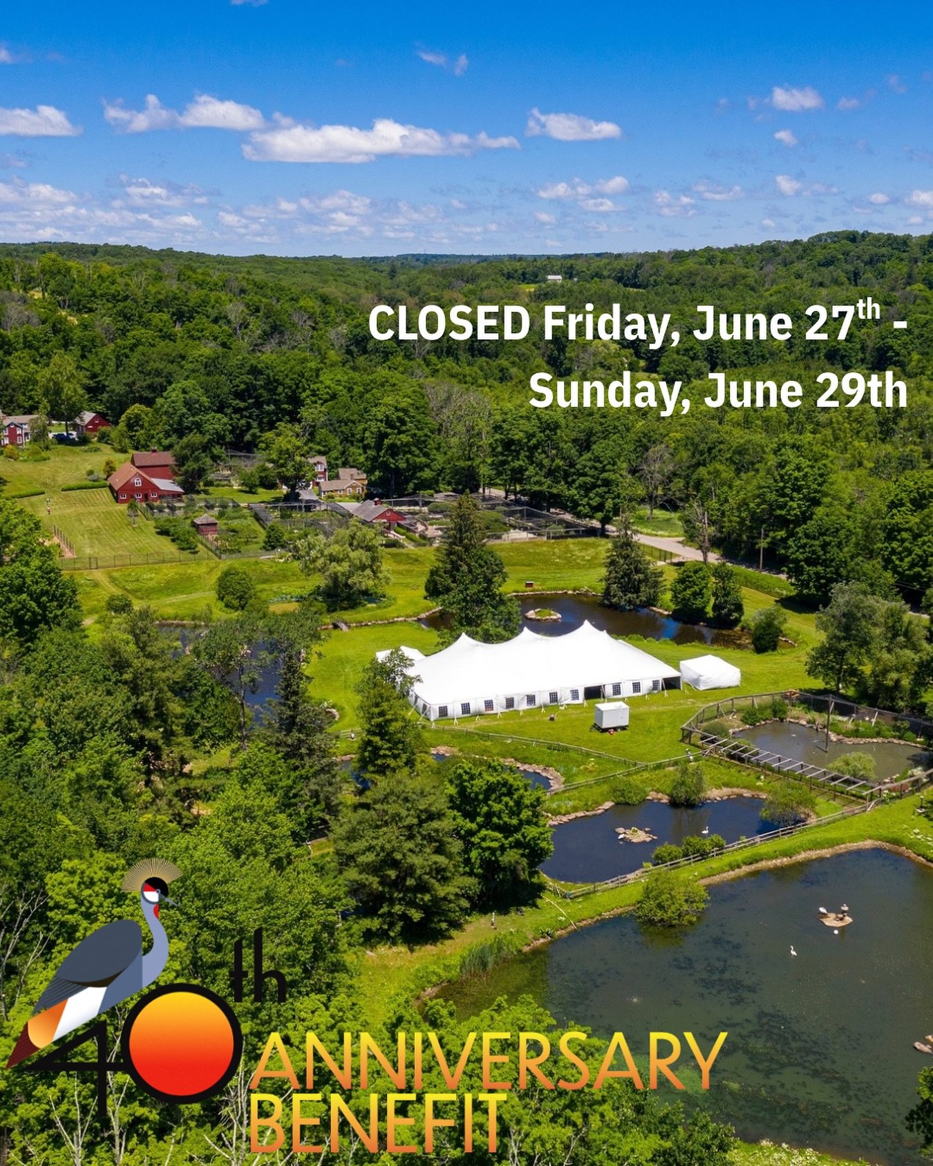 This weekend is our Annual Benefit, celebrating 40 years of Ripley Waterfowl Conservancy! We will be closed this weekend for all visitation. 
Normal visitation hours will resume Saturday, July 5th! 

If you want to help us celebrate 40 years, check o