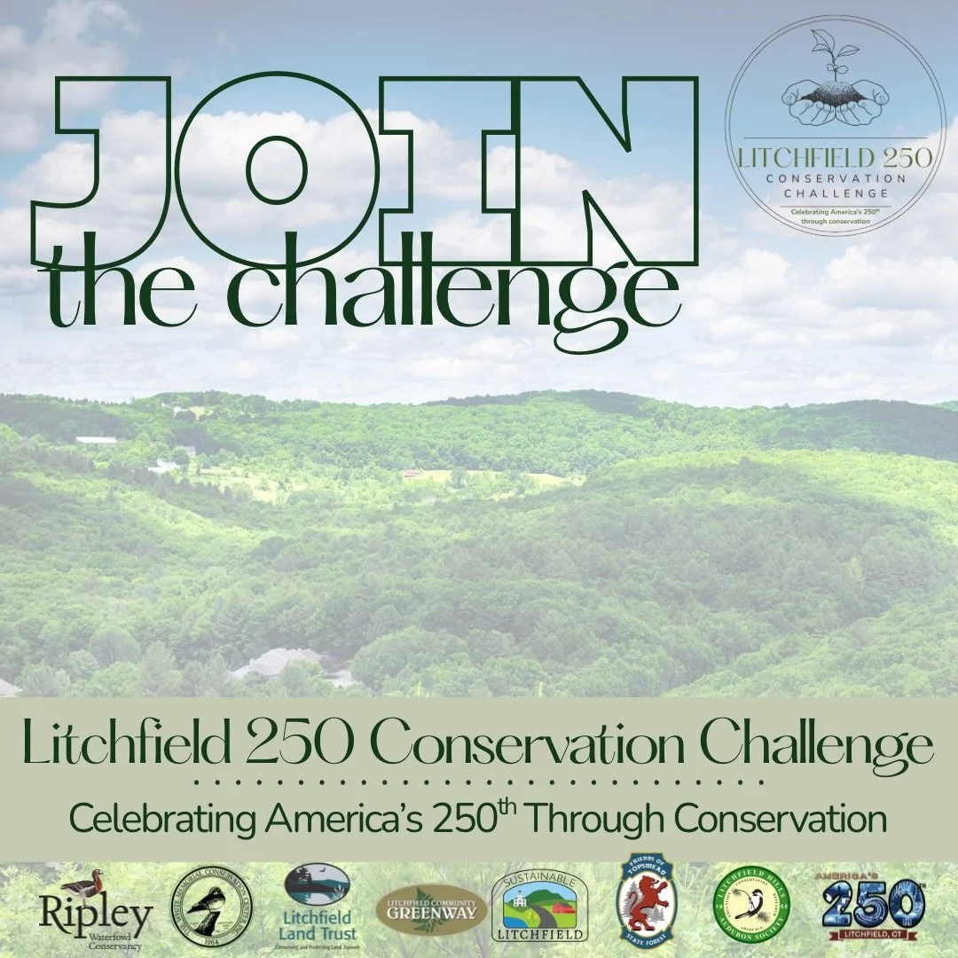 We are excited to launch the Litchfield 250 Conservation Challenge- an initiative encouraging 250 acts of responsible conservation in honor of America&rsquo;s 250th birthday!

We invite members of our community, individuals or groups, to complete act