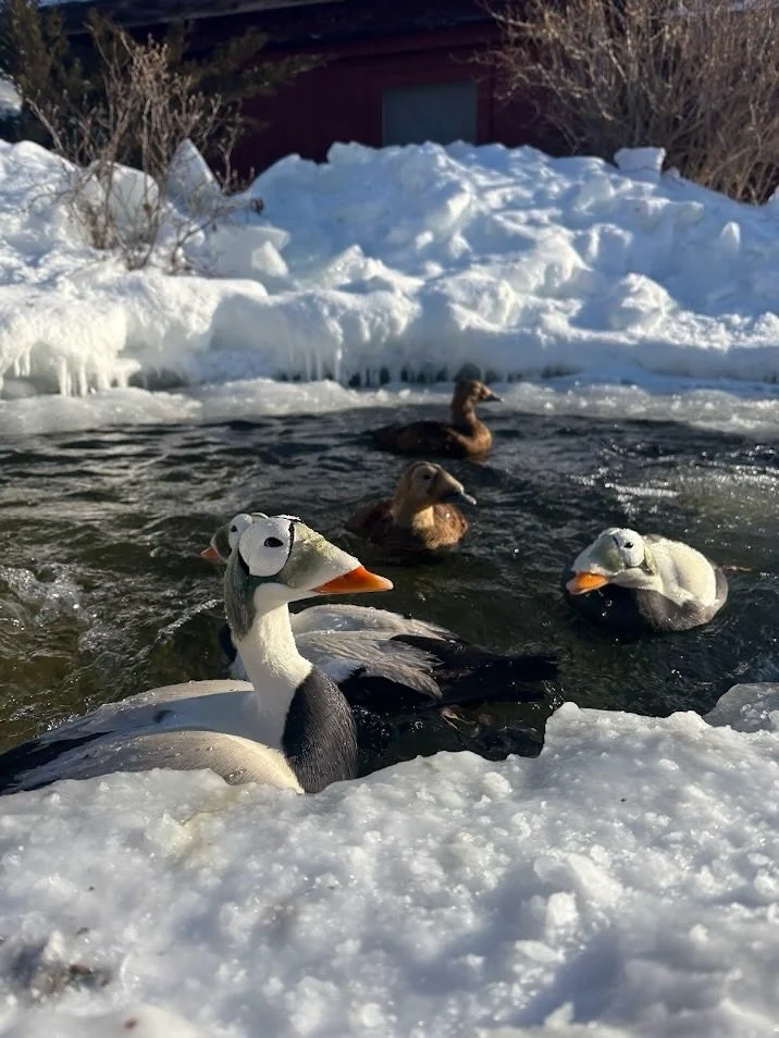 Winter at Ripley is beautiful, yet demanding! 

With harsh winter conditions, our current bubbler system is fighting a losing battle against the ice. This system has served us well the past 15 years but it is no longer able to keep up with the harsh 