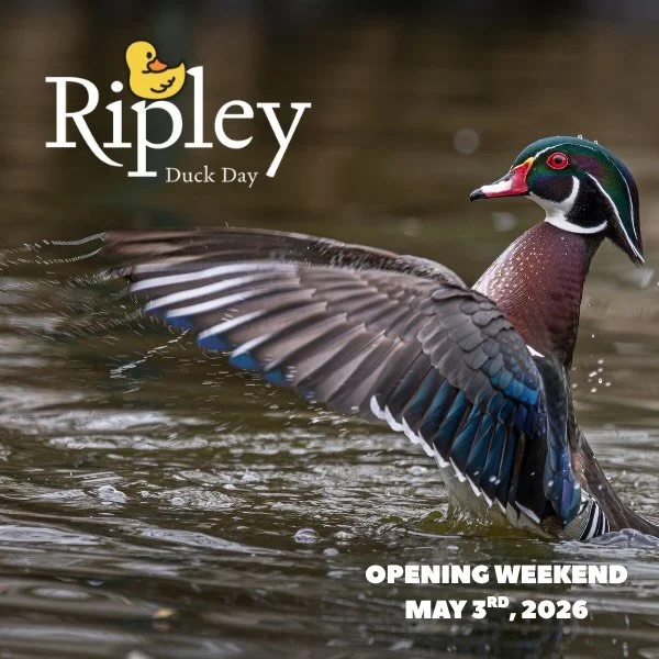 With less than 3 weeks until our opening weekend and 1 week until Give Local, we invite you to join Ripley in many ways!

🦆DUCK DAY- Sunday, May 3rd | 10am-3pm - Join us for our annual Duck Day! Tour the Conservancy, visit with amazing local conserv