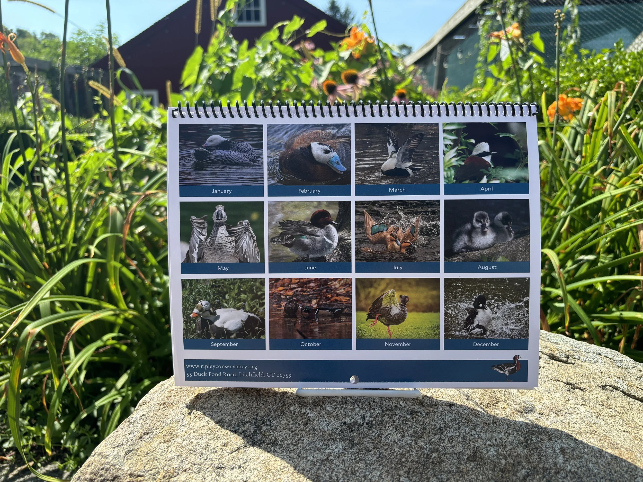 Calendar Back (website).JPG