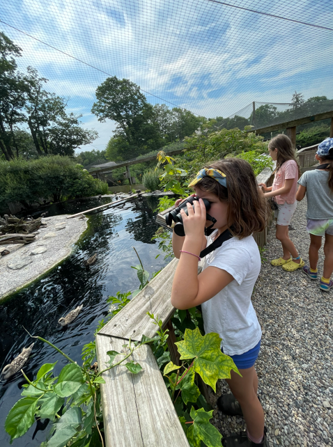 DUCK CAMP Week 4 - Scientific Discovery (July 27-31)