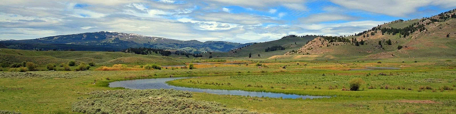 yellowstone 1.jpg