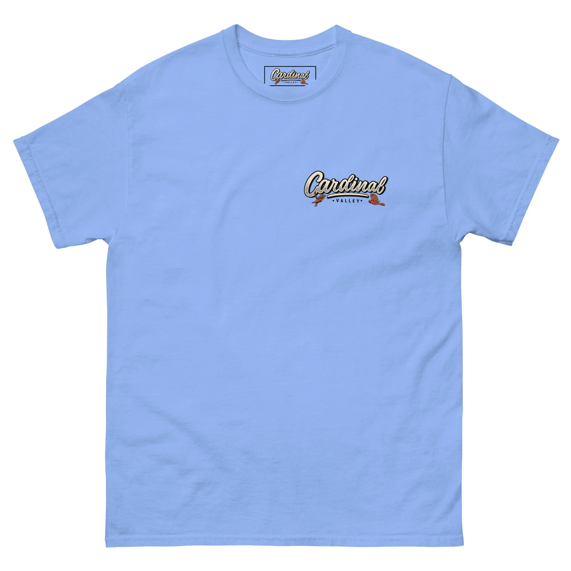 unisex-classic-tee-carolina-blue-front-66e1bd9c4dcc6.jpg