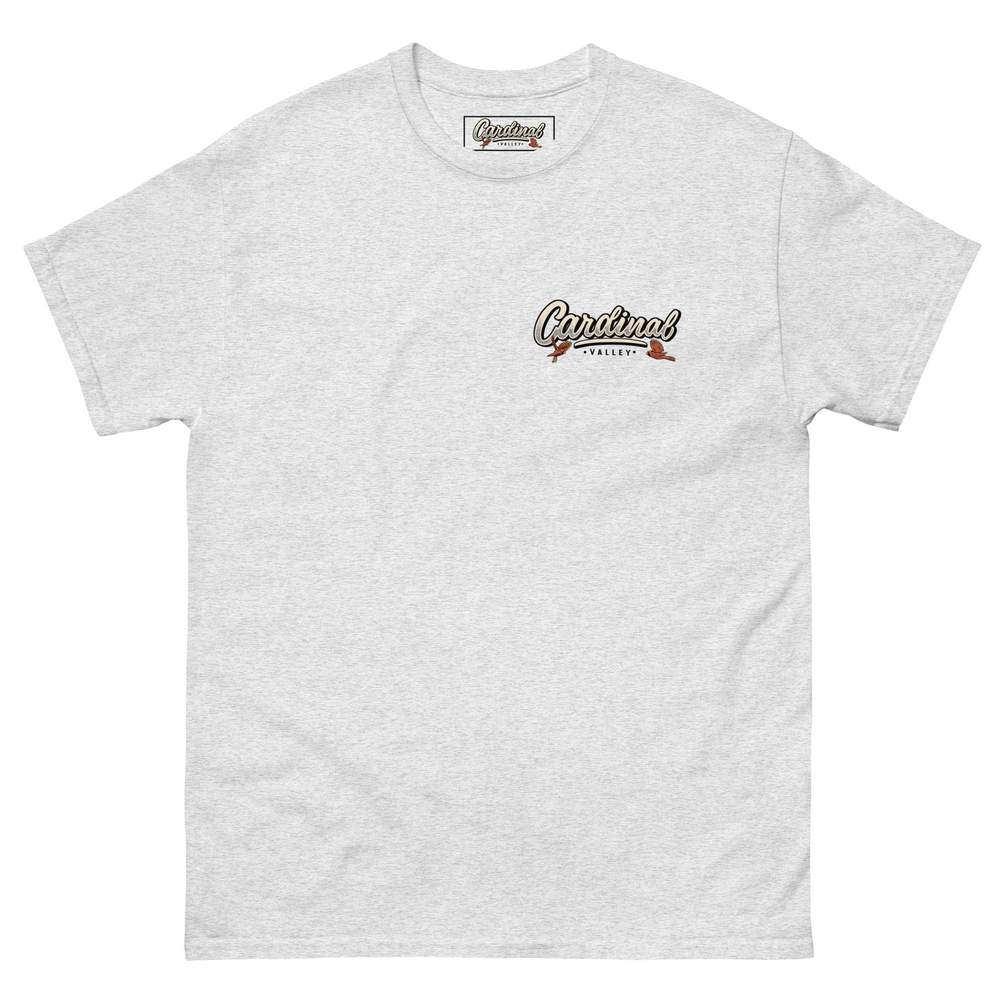 unisex-classic-tee-ash-front-66e1bd9ccffad.jpg