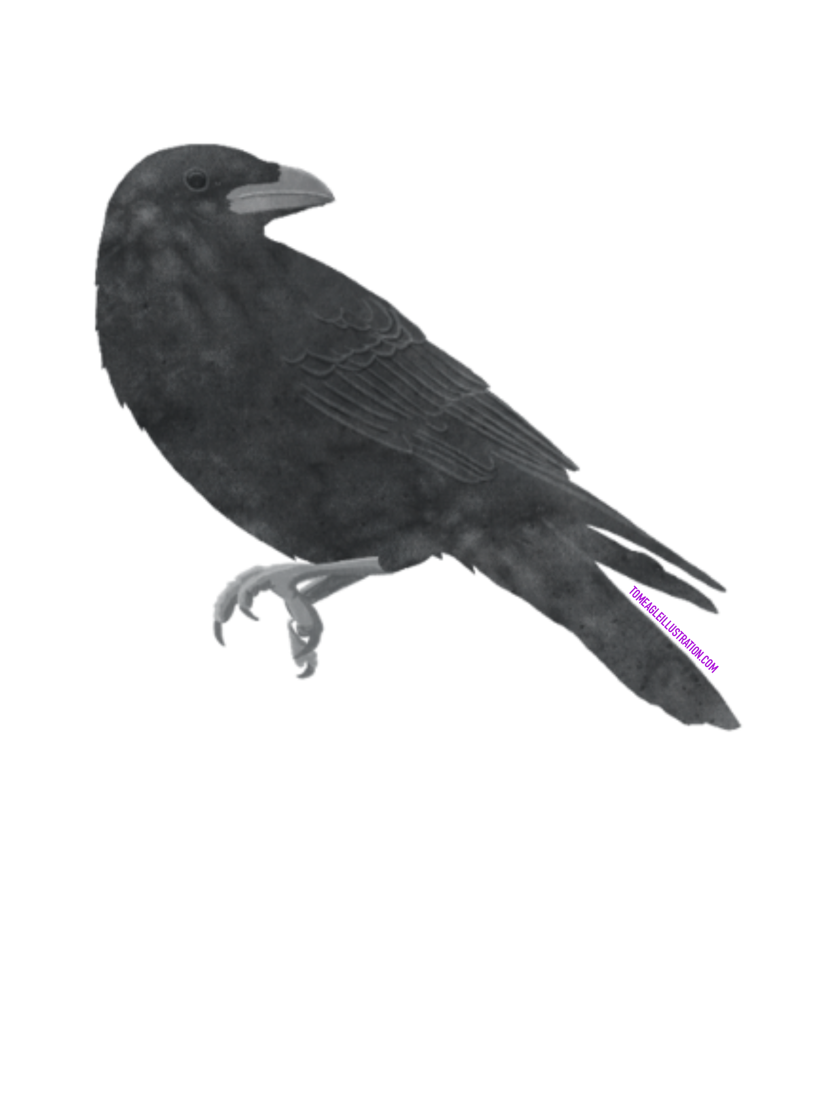 Crow_DuckYourself.png