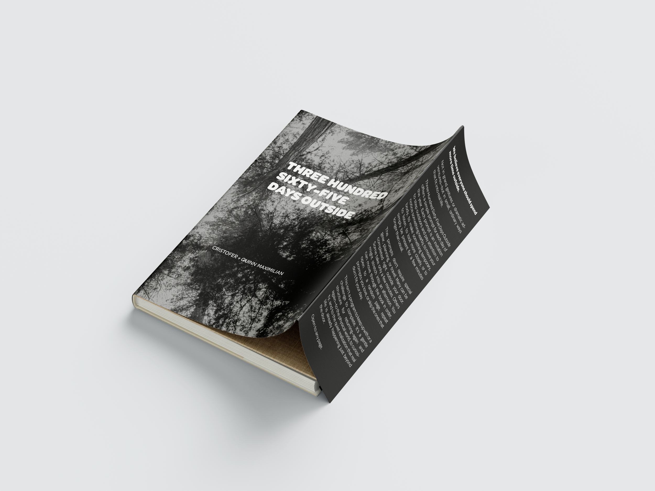 Book_Dust_Jacket_Mockup_3.png