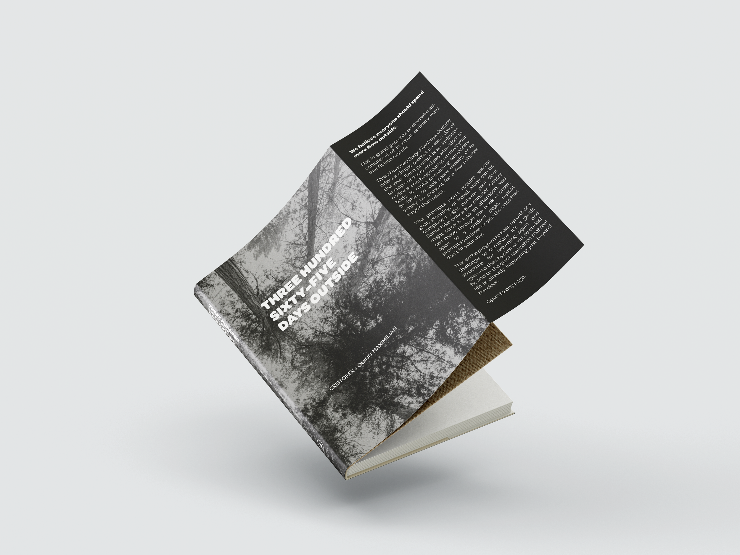 Book_Dust_Jacket_Mockup_6.png