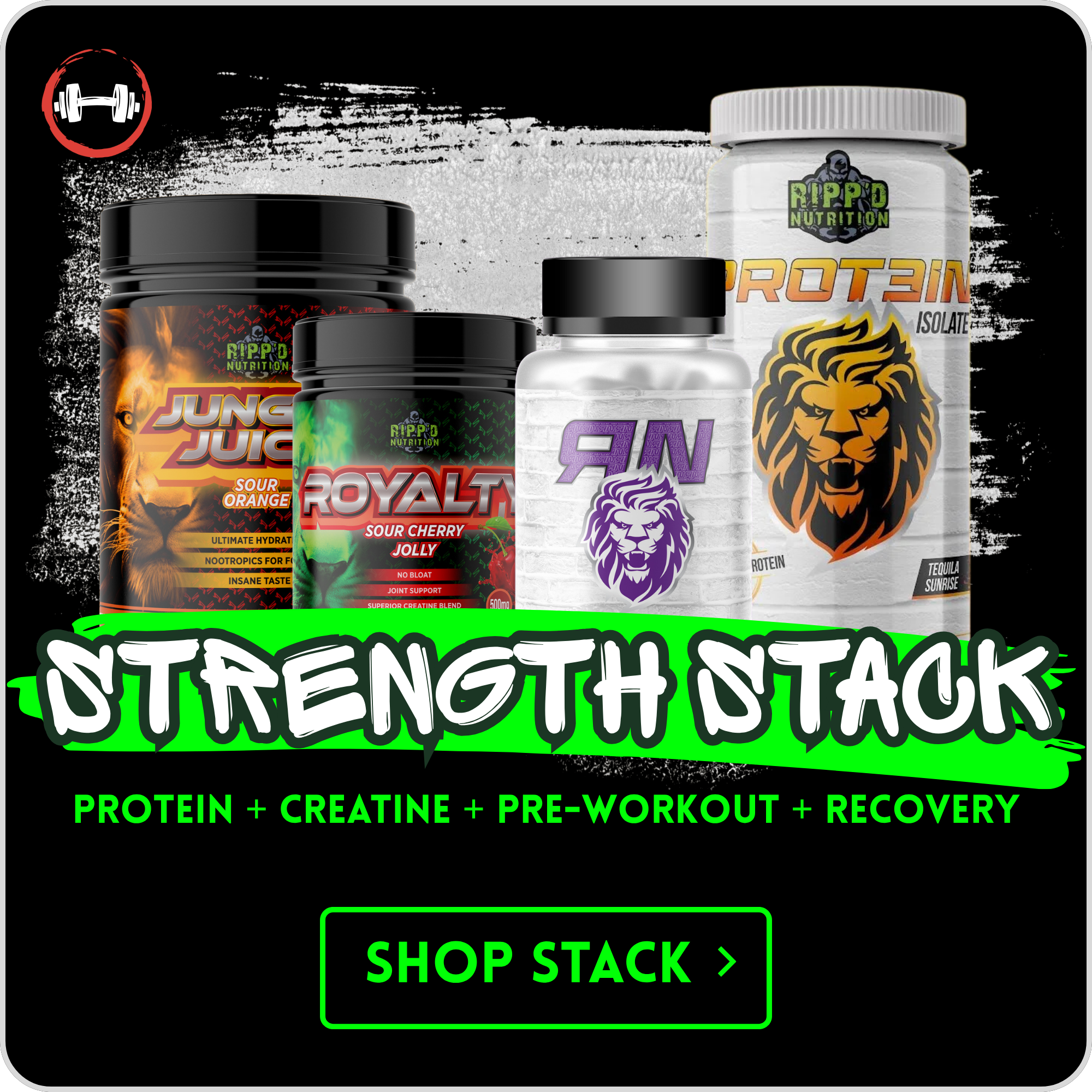 A collection of dietary supplements including proteins, creatine, pre-workout, and recovery products with labels featuring bold fonts and animal logos, displayed on a black background.