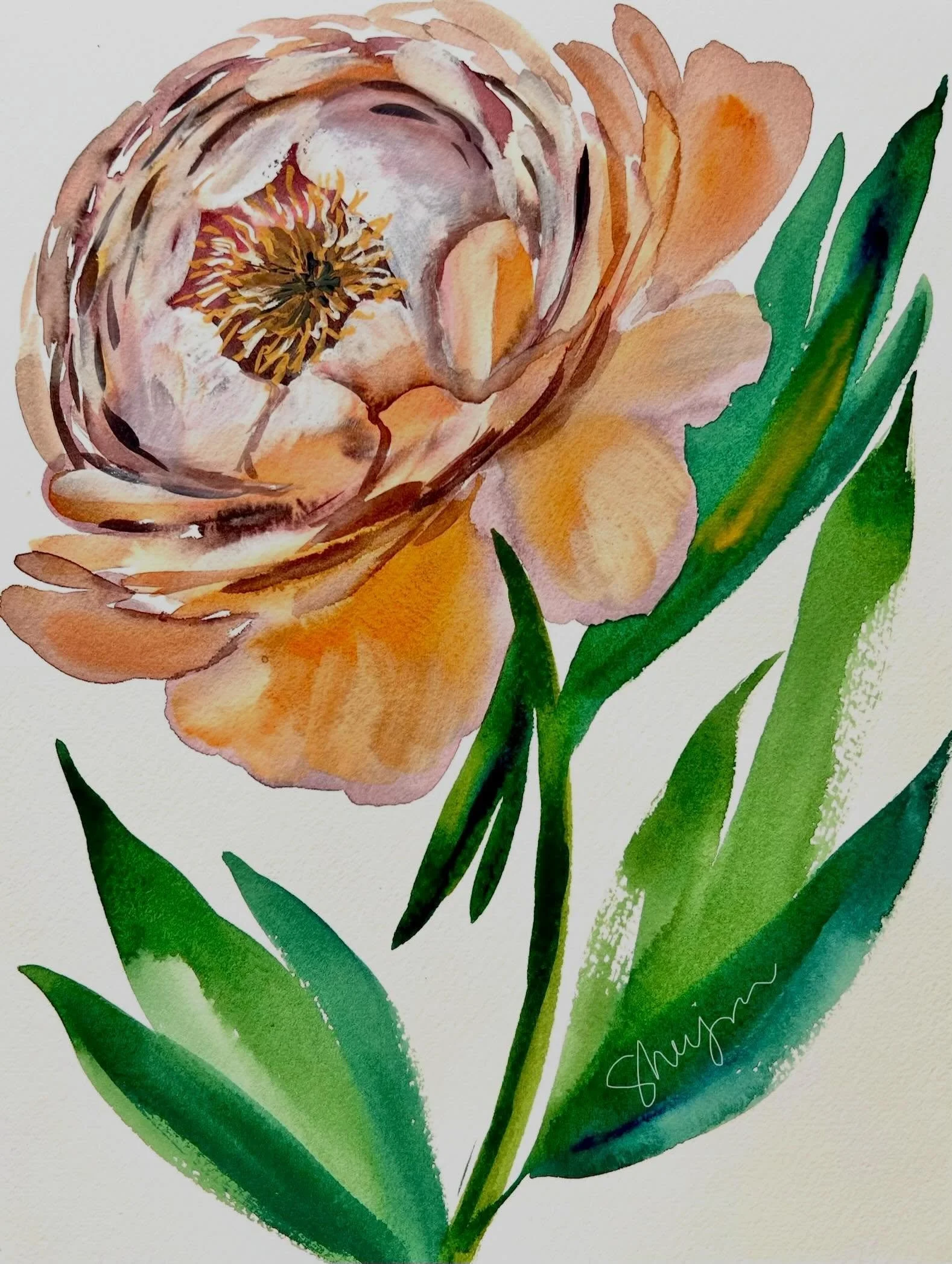 This peony is a bit of happy accident. I intended to paint a bouquet by using a big filbert brush. Then, this focal floral took too much space so I ended up shaping it to a single floral painting. Do I like the result ? Absolutely! I like the muted v