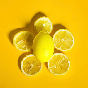 Does the viral Lem toy live up to the TikTok hype? I decided to give it