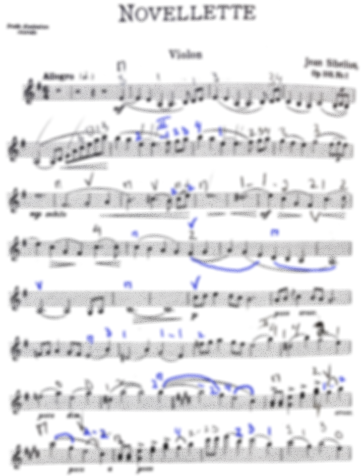Sibelius, J. - Novellette Op. 102 No. 1