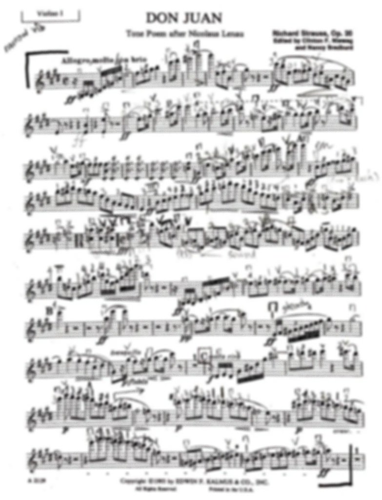 Don Juan Op. 20