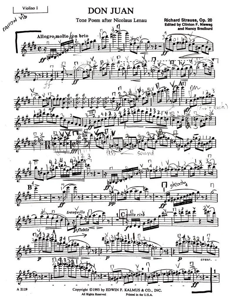 Don Juan Op.20 Image File 1.jpg