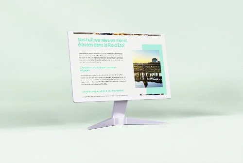 Site web Les Huîtres K de Patrick Kervadec