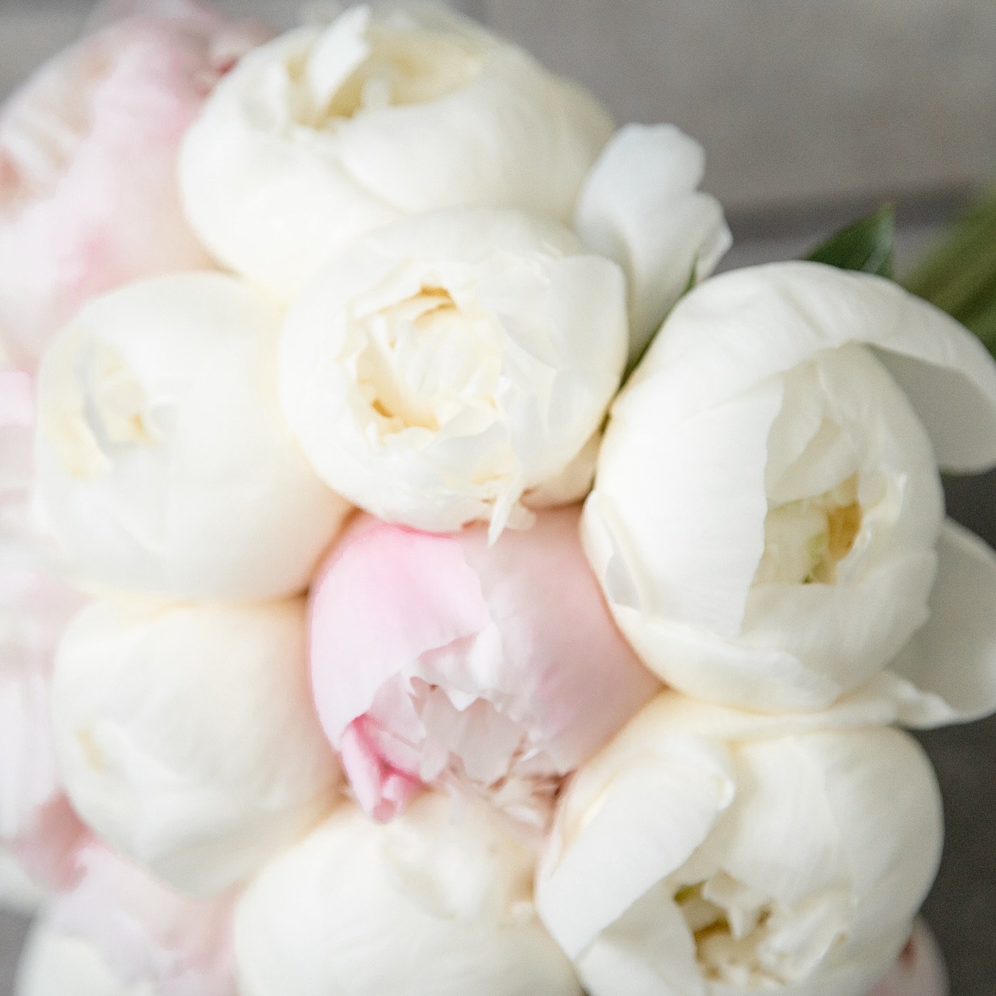 What flowers are you having/had in your bouquet?

I am loving the wildflower trend but I'm such a sucker for peonies, this is my actual bouquet from my own wedding day! (And this is the song I walked down the aisle to 🥰)

We had originally planned t