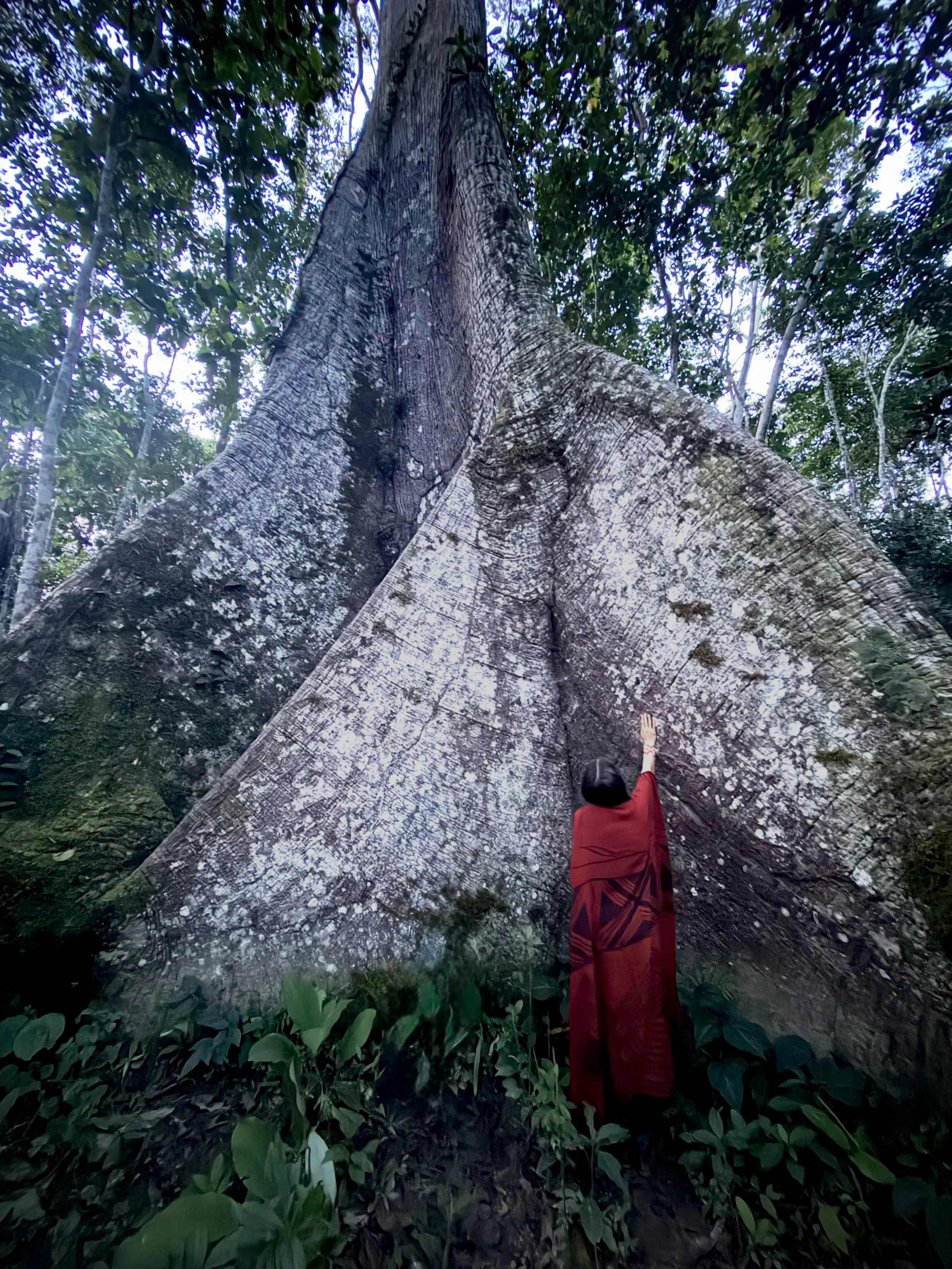 I&rsquo;ve been gone.

Three months. The Brazilian Amazon. The jungle. An ancient forest operating on a completely different rhythm to the West.

I spent a few weeks with the Huni Kuin in Pinuya Village &mdash; learning, listening, being. Then six we