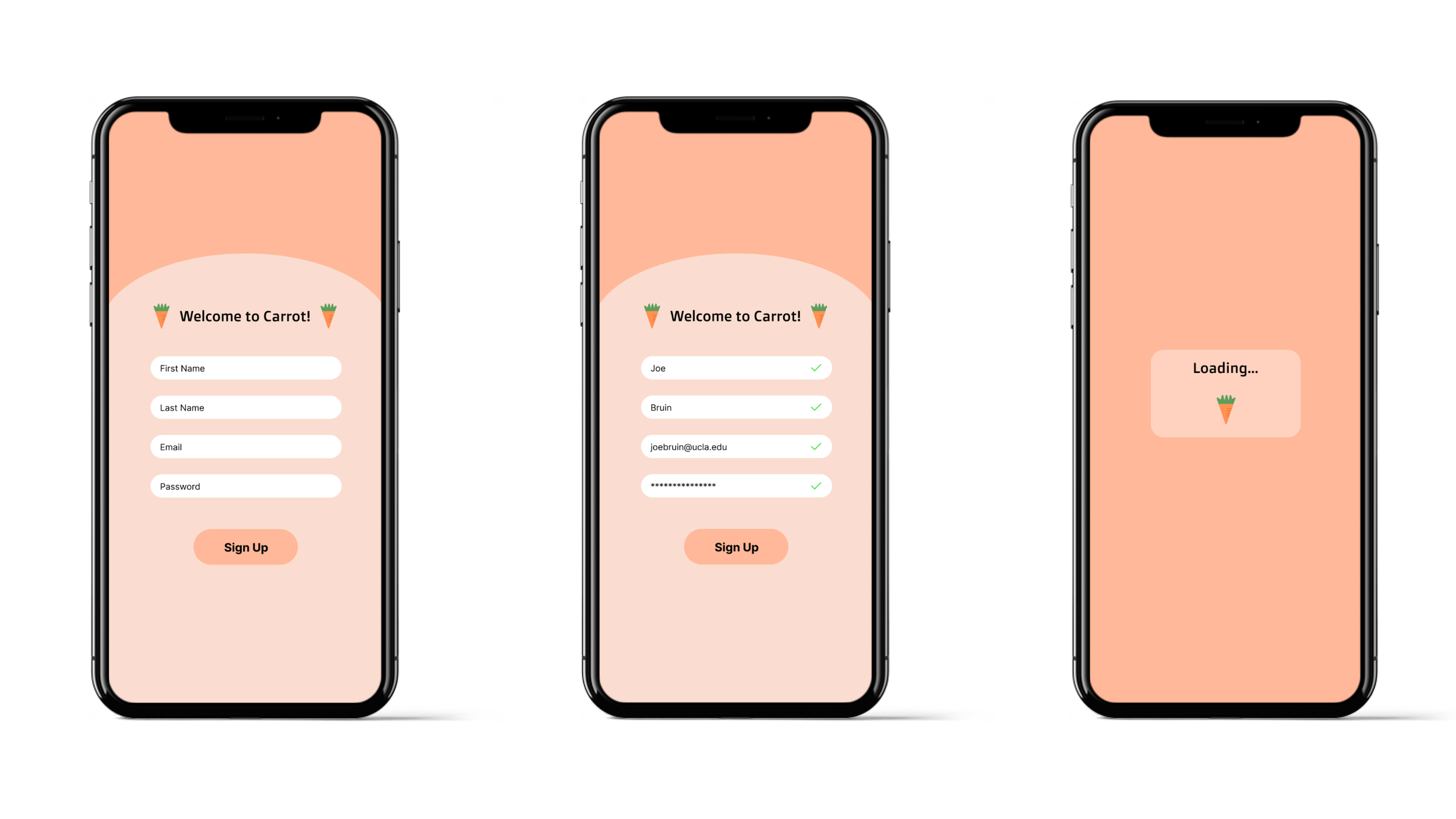 carrot mockups.png