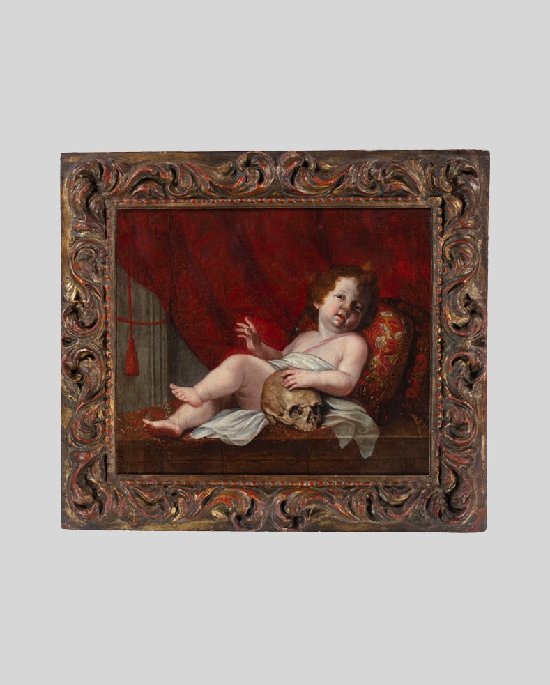 Putto con Vanitas