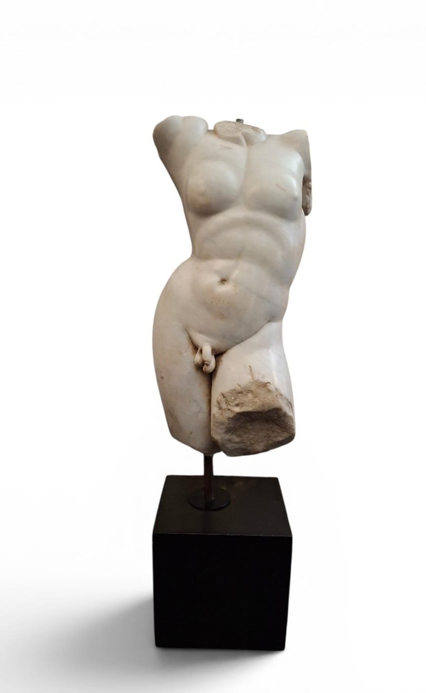 Torso virile in marmo bianco