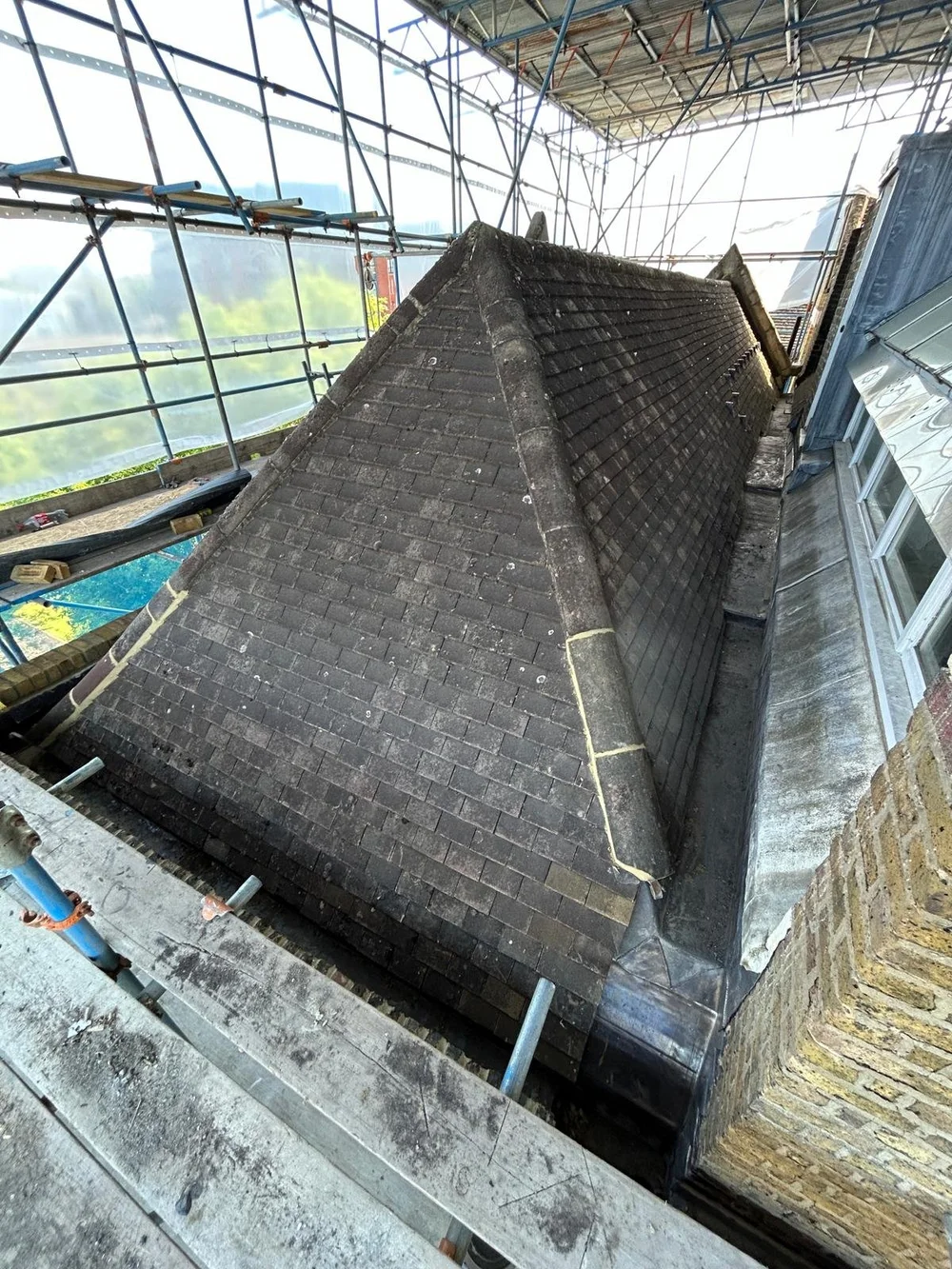 WhatsApp Image 2024-07-31 at 10.25.47.jpeg