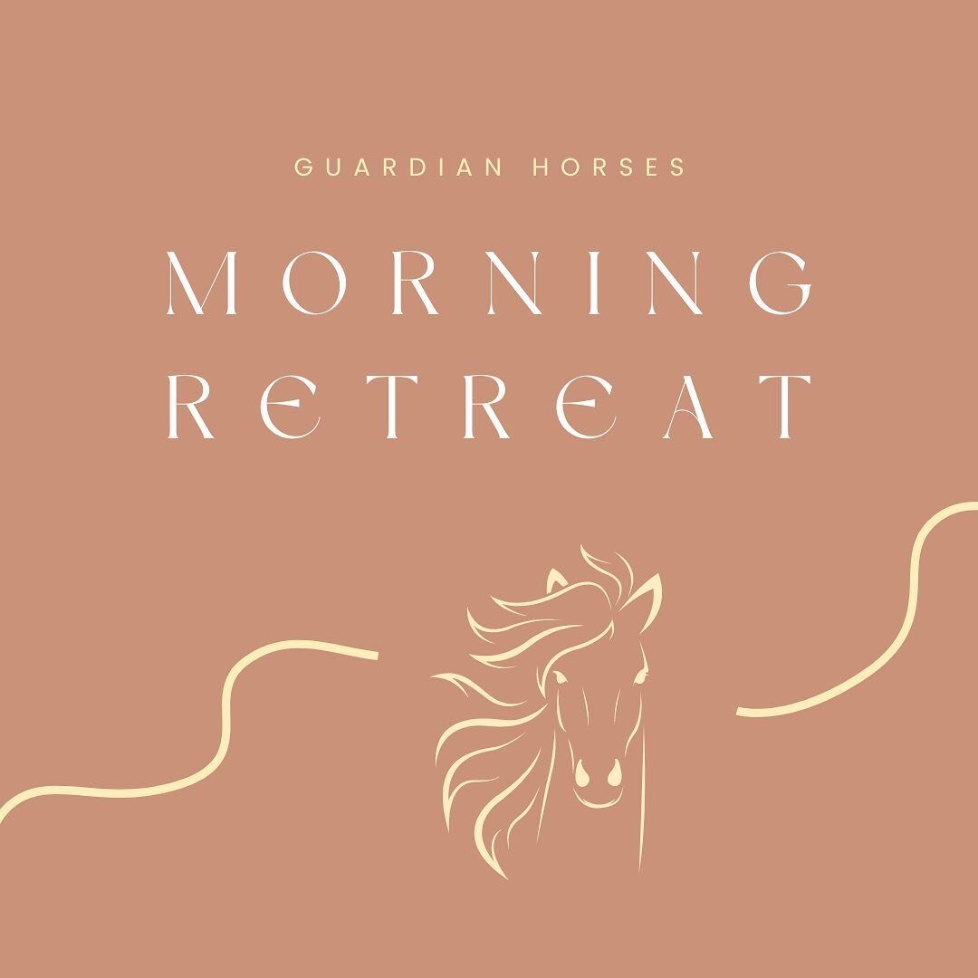 Renewed!✨The Morning Retreat with Guardian Horses

In this 4-hour(!!) session, you&rsquo;ll be part of a small group (max 6 persons). Together, you&rsquo;ll experience the incredible power of horse coaching. It&rsquo;s going to be something truly spe