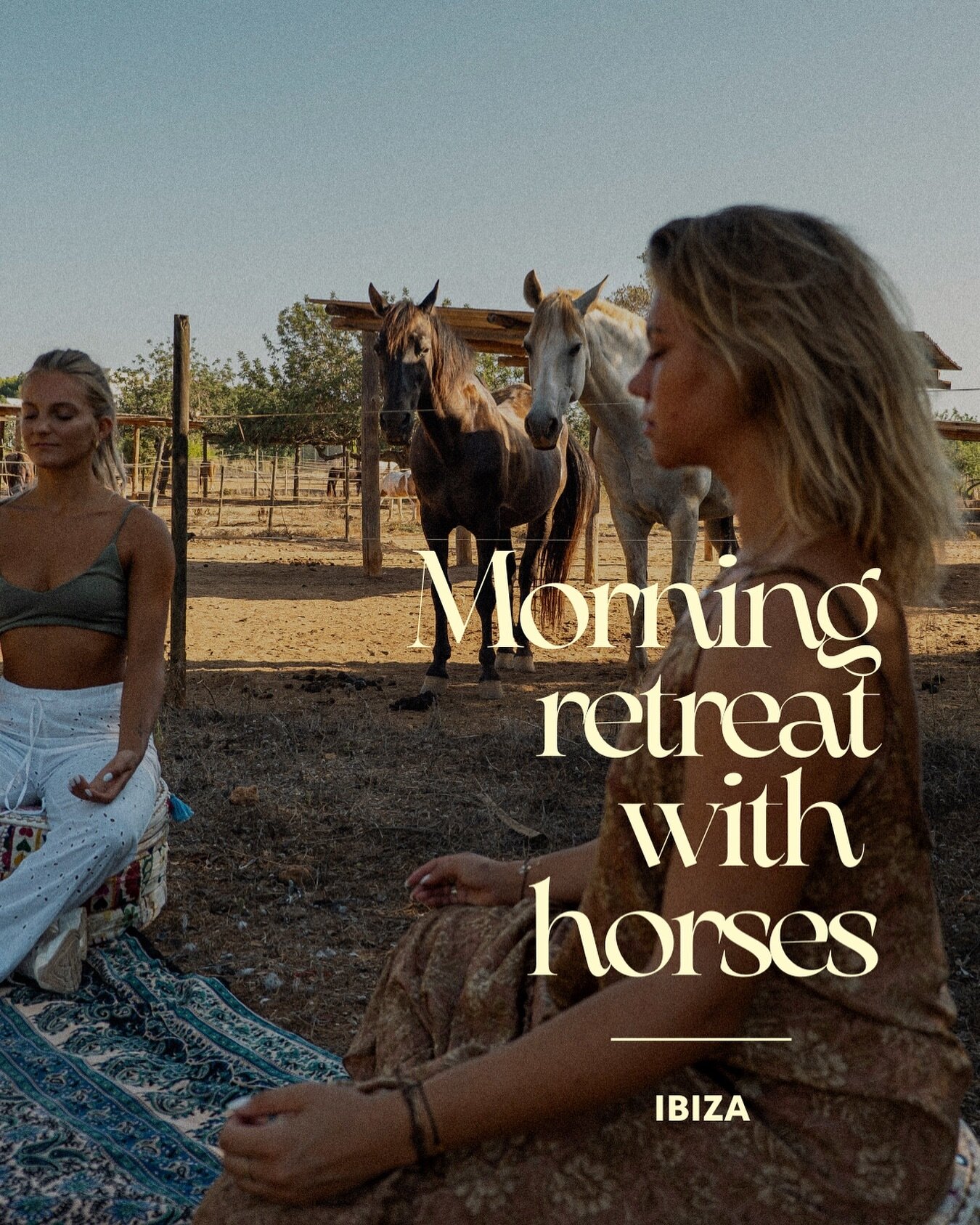 Join the Morning Retreat with horse coaching on Easter Monday for your personal growth! 🌿✨

(No experience with horses is needed. It&rsquo;s all from the ground.)

🐴 The horse is the most powerful coach you will ever meet. She will show you how you