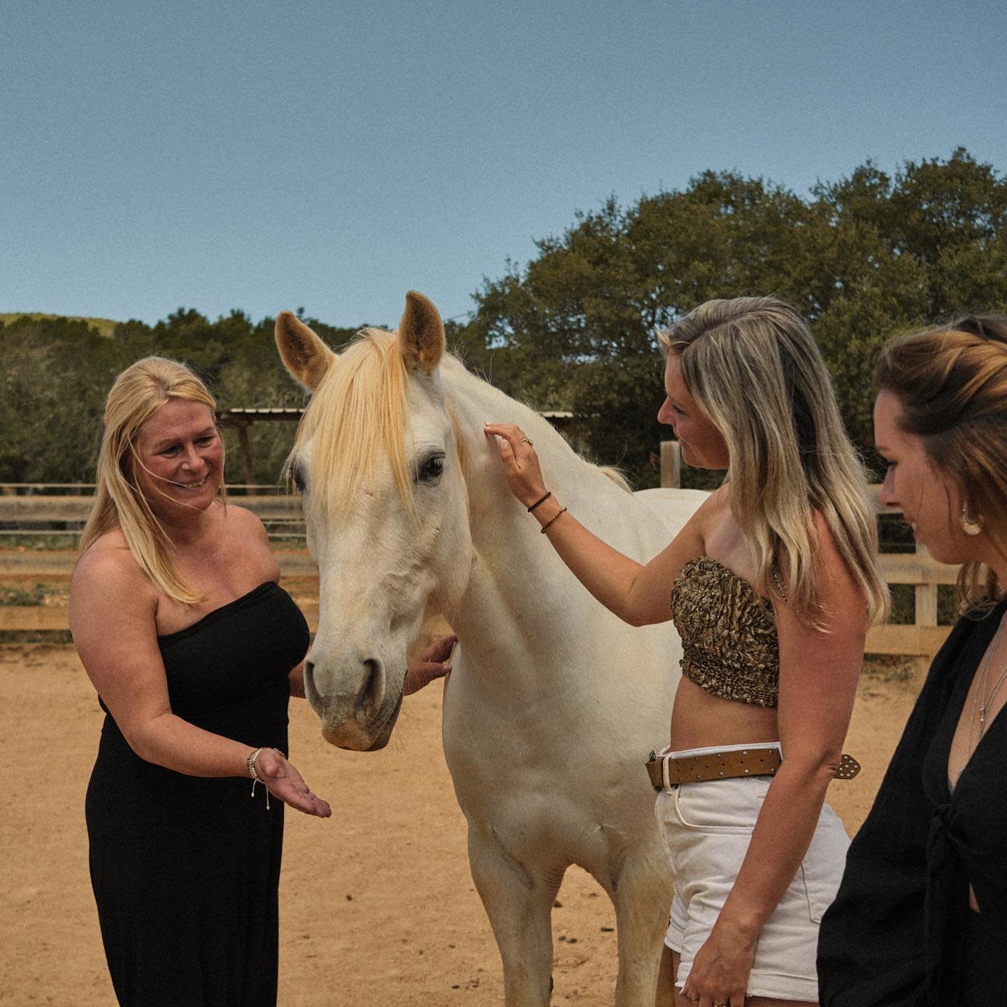 Experience a shared horse coaching session and see your loved ones in a whole new light! 💫

In a session, you&rsquo;ll engage in guided, ground-based activities with horses, who act as mirrors to our inner selves. This unique interaction reveals how