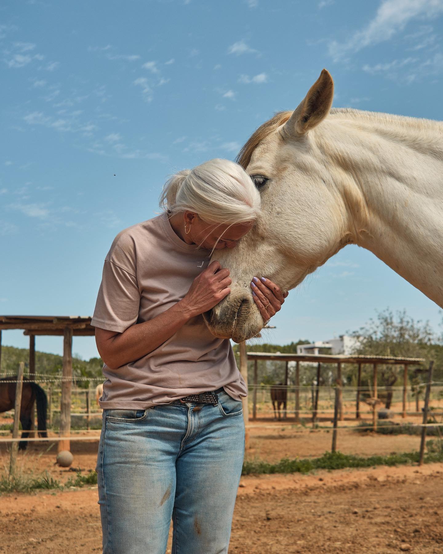 &ldquo;If you want to get close to the horse, you have to get close to yourself.&rdquo; 

In horse coaching, the goal isn&rsquo;t just bonding with the horse, but understanding what this relationship reveals about you.

Let me give you an example:

D