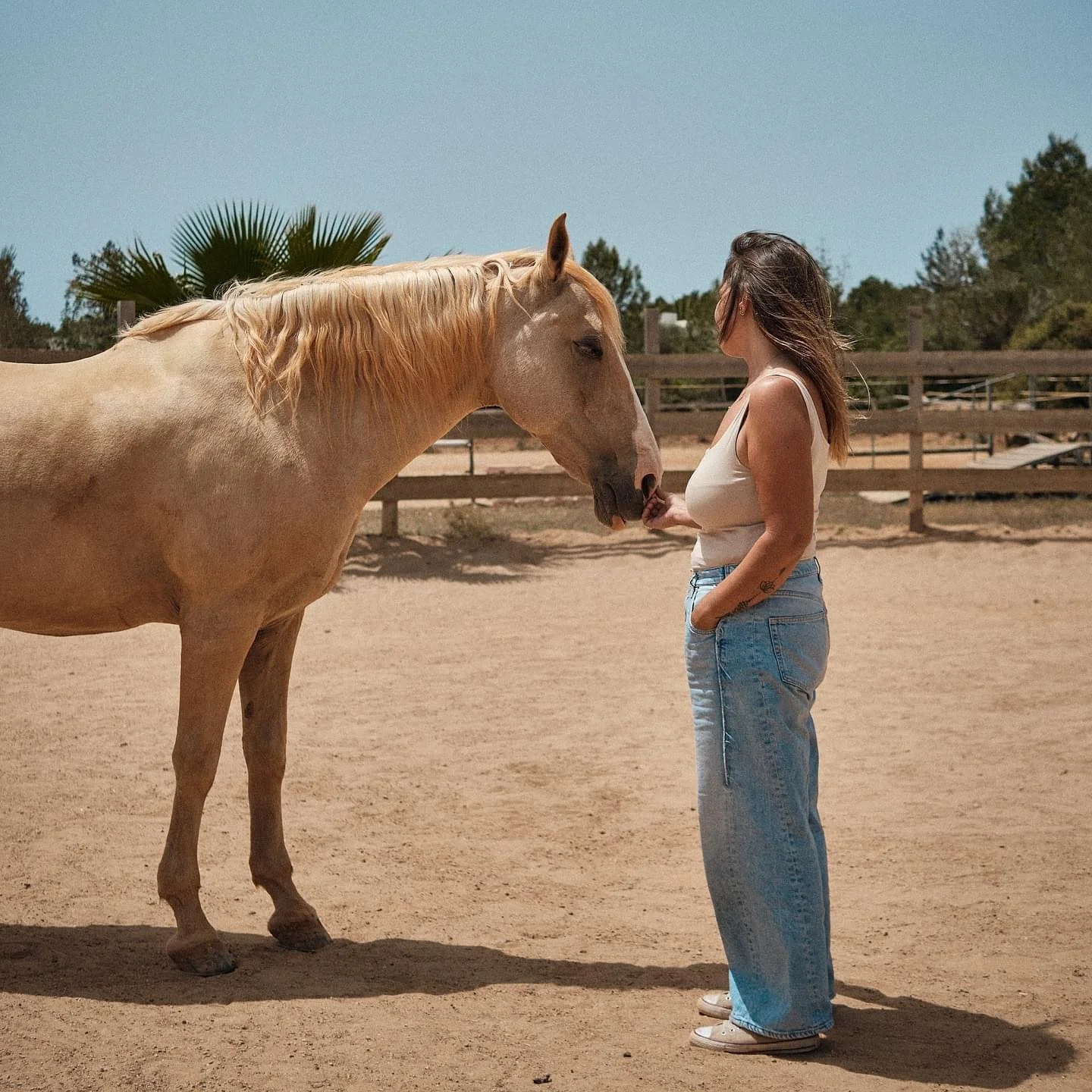 Connect with horses to reconnect to yourself in the Morning Retreat. A personal growth experience in Ibiza.✨🐴

A peaceful and transformative 3-hour session to gain clarity in tackling your life&rsquo;s challenges.

Horses reflect your soul and guide