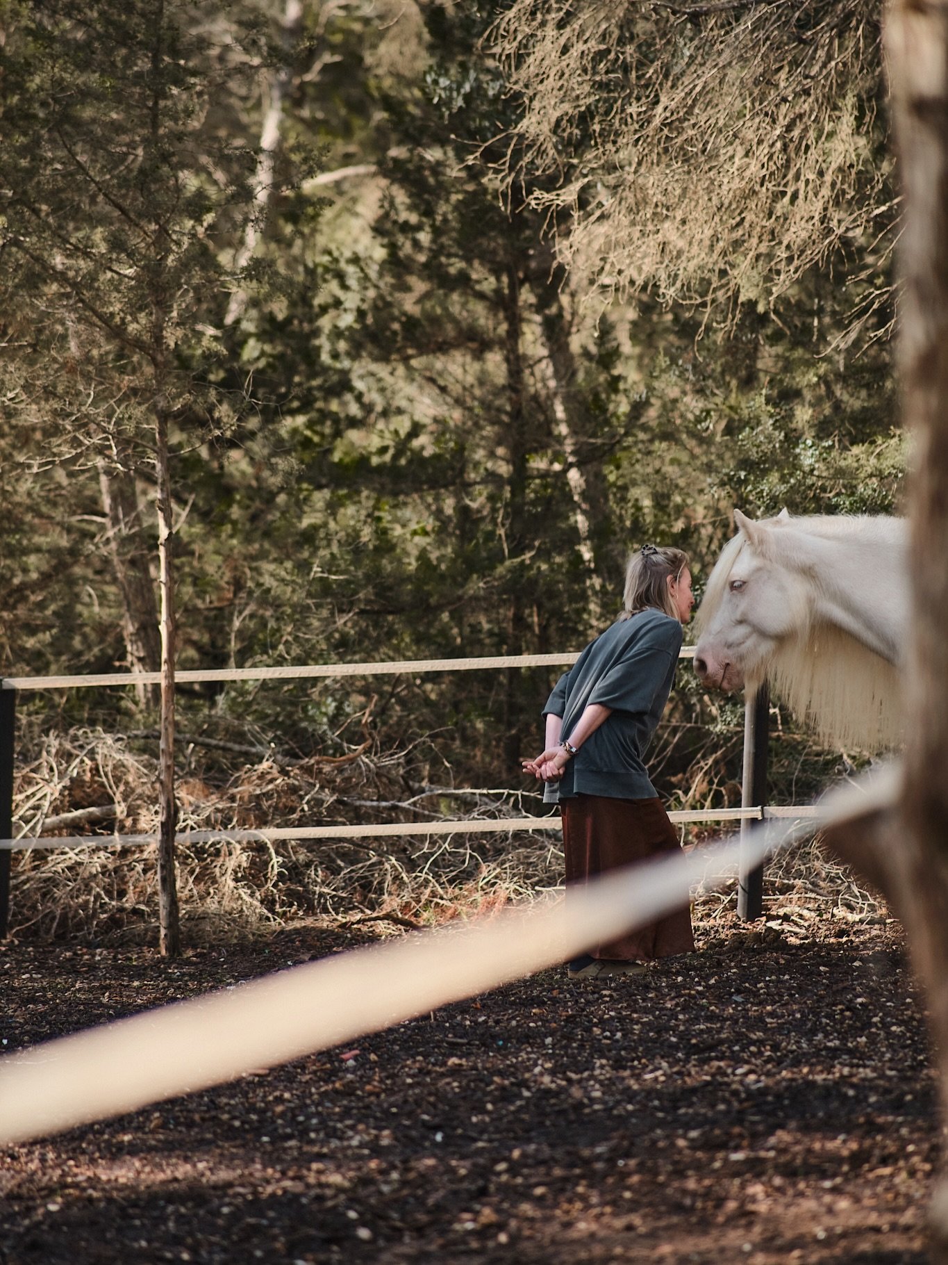 ✨ RETREAT ANNOUNCEMENT ✨
Grow with Horses - Ibiza 🐎🔹 May 6&ndash;9, 2026

Step off the everyday treadmill and into an experience that will let you grow and flourish, &ldquo;just&rdquo; by connecting with horses from the ground 🌱🐴.

A reflective 4