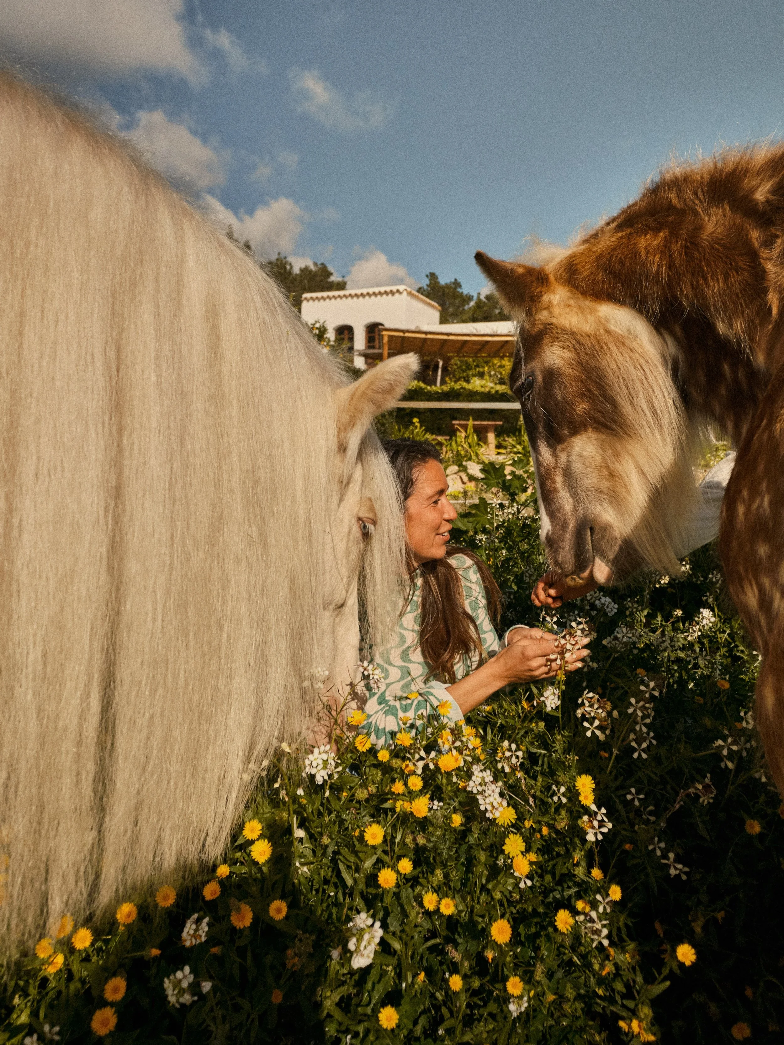 There is something truly special about being in the presence of horses. 🌼🐴

Horses are constantly seeking harmony within their herd. When they are with us, they seek the same.

They respond not to the stories we tell, but to the energy we bring. Th