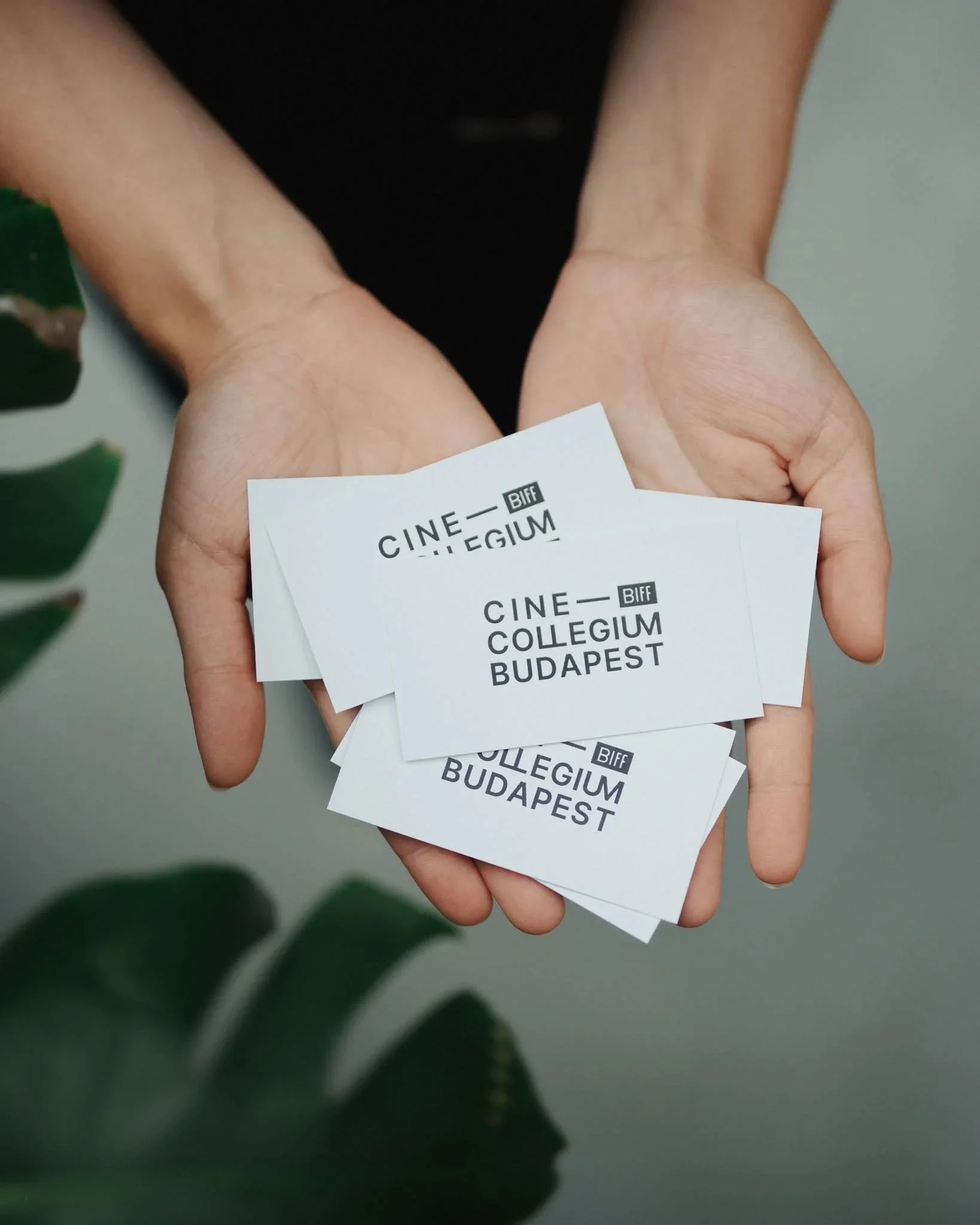 LUPA PICTURES IS PART OF THE CCB STORY