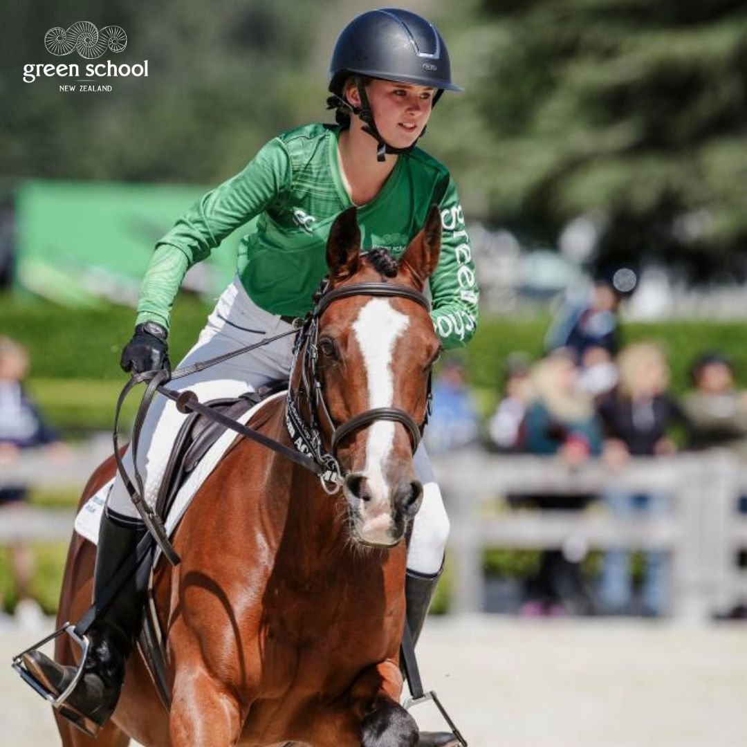 Equestrian/Horse Riding