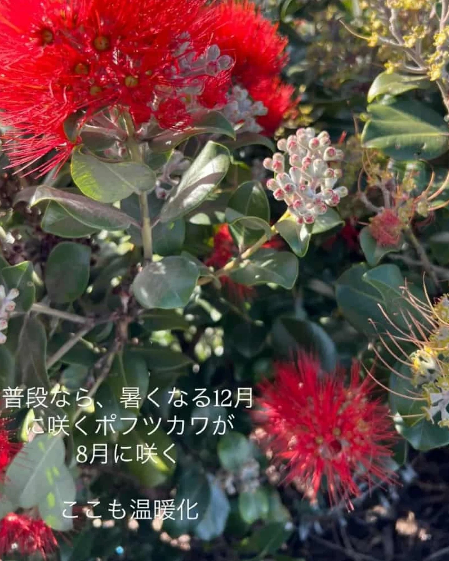 We’ve loved hearing what our amazing families got up to over the school holidays! From city adventures at @worldofwearableart WoW in Wellington, ferry rides to Waiheke Island, outdoor treks, rugby games through to felting, and soaking up some g