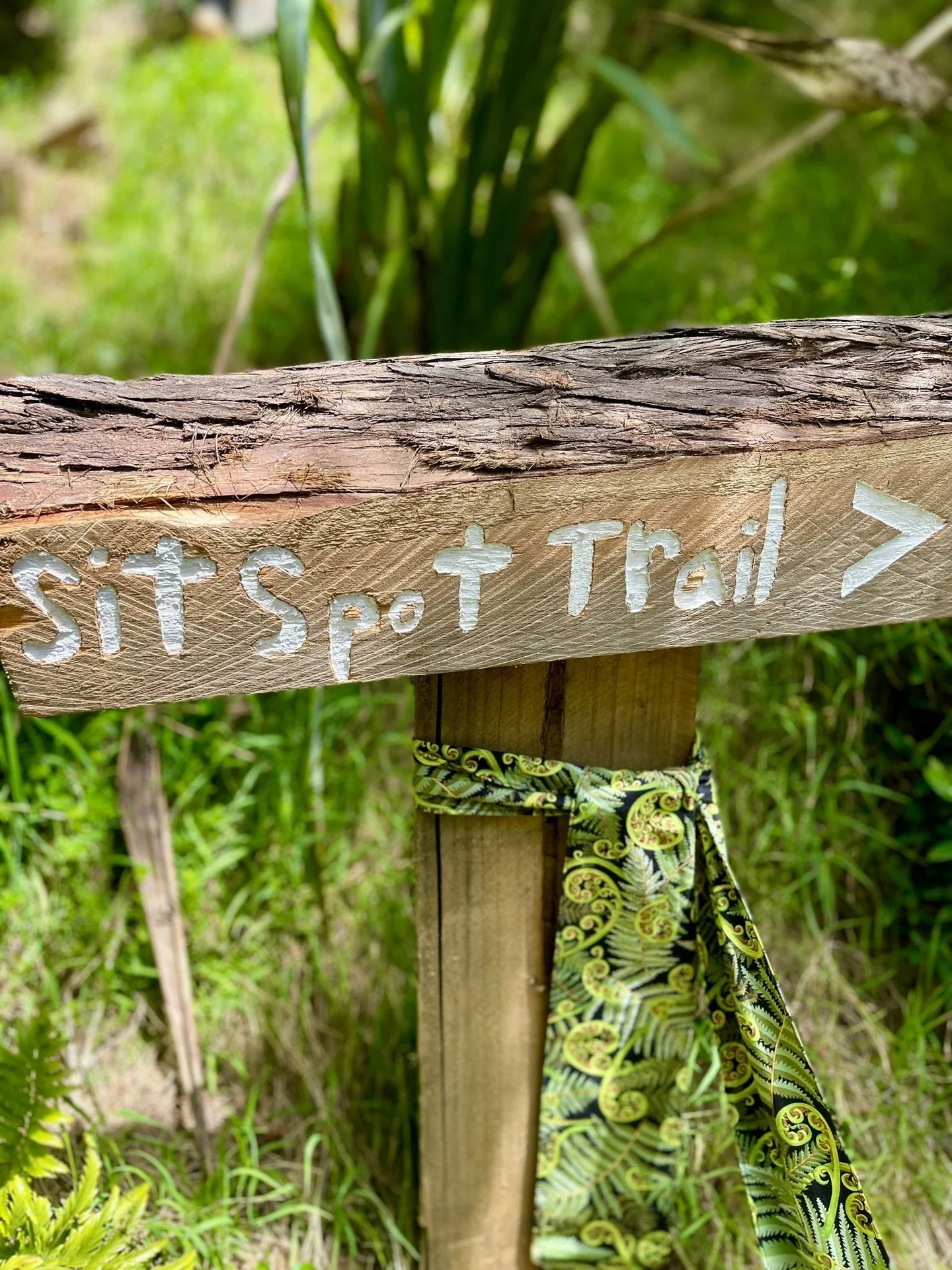 Footprints&nbsp;season is almost complete with our &lsquo;community share presentations&rsquo; happening next week - a highlight of the year for our Green School community!

So&hellip; what is Footprints?

Each learner plans a capstone project that